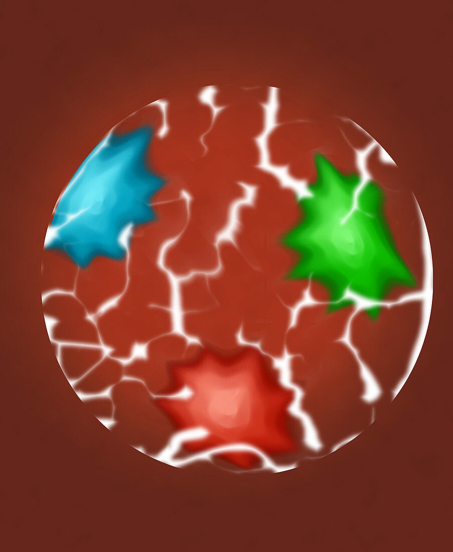 Quarks, Illustration