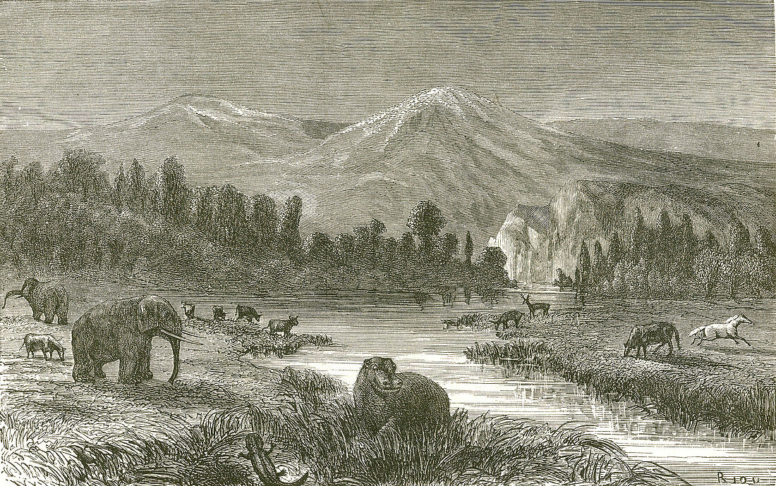 Pliocene Landscape