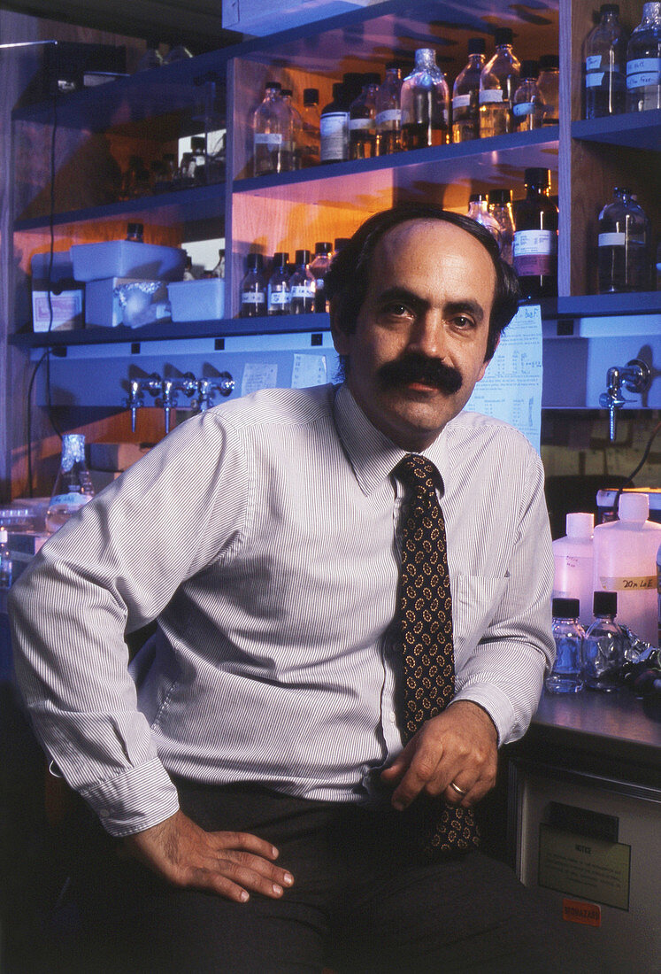 Dr. Robert Weinberg
