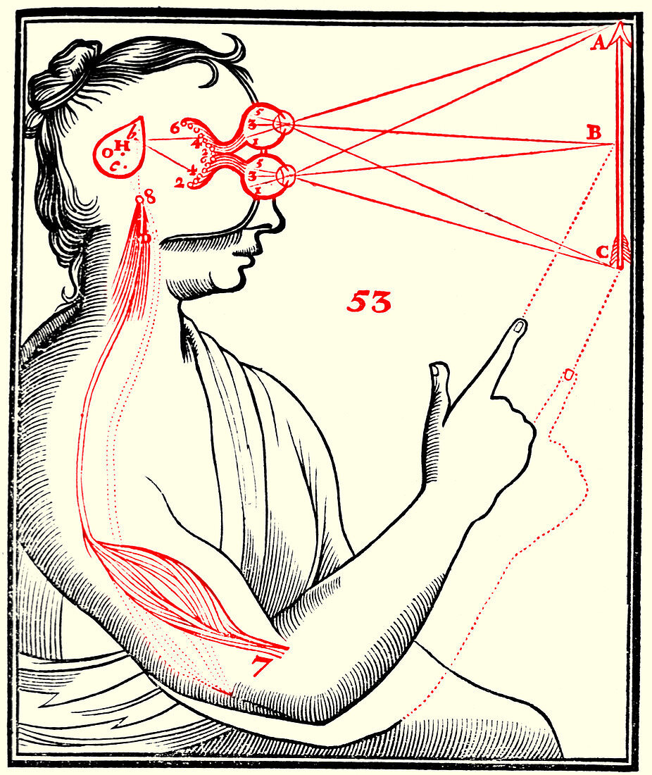 Vision and External Stimuli, 17th Century
