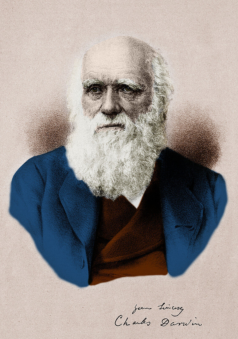Charles Darwin, English Naturalist
