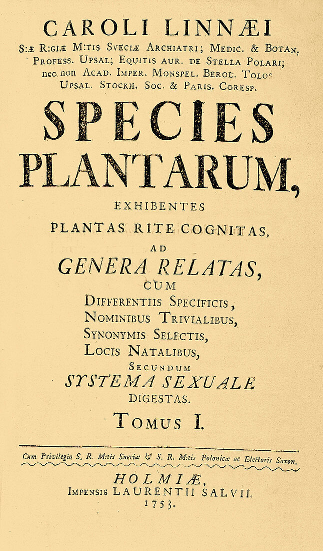 Species Plantarum, Linnaeus, 1753