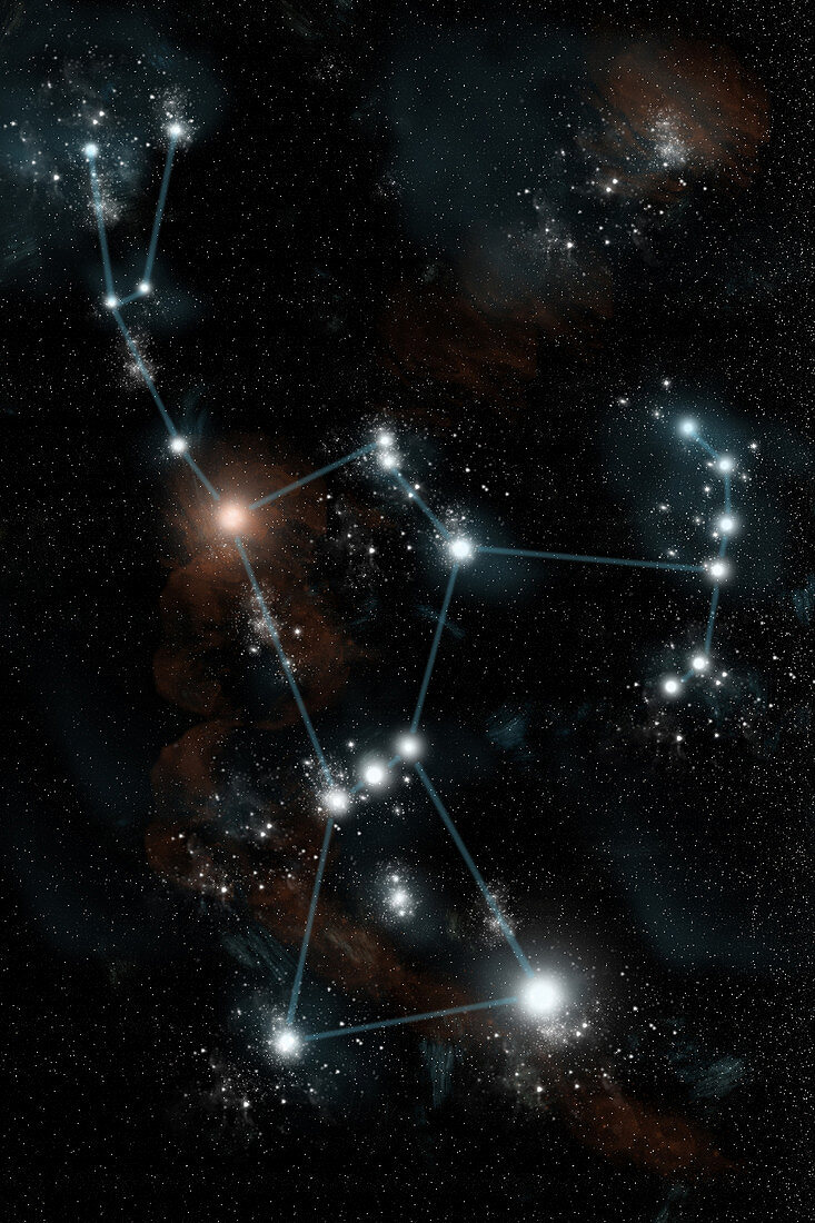 Outline of the Constellation Orion