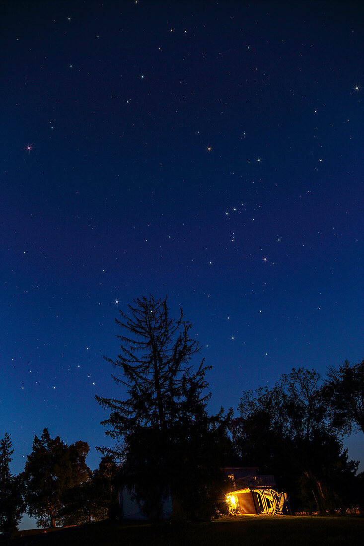 Orion, Betelgeuse, Procyon, and Sirius