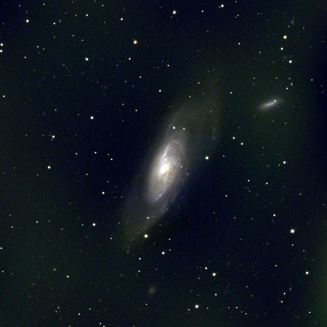 Spiral Galaxy M106, NGC 4258