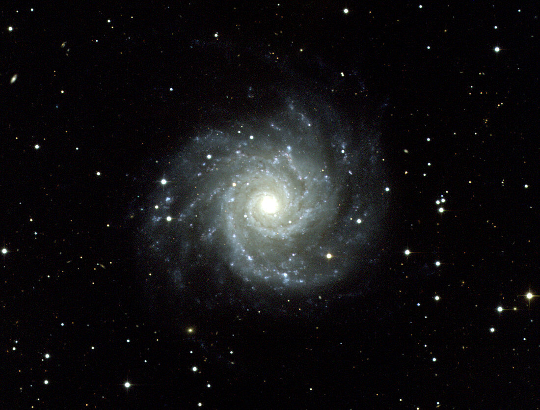 Grand Design Spiral Galaxy, M74, NGC 628