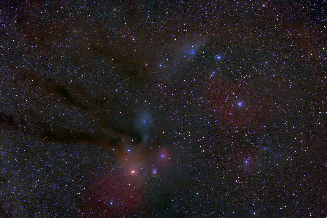 Nebulae in Northern Scorpius