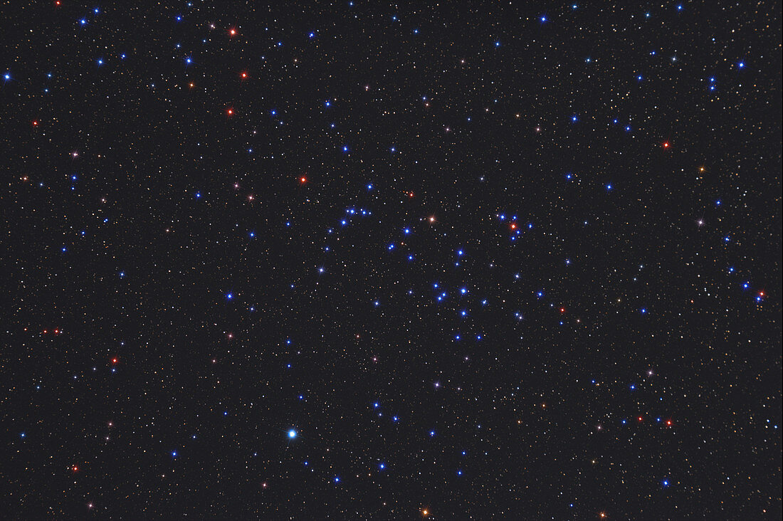 Open Cluster NGC 6633