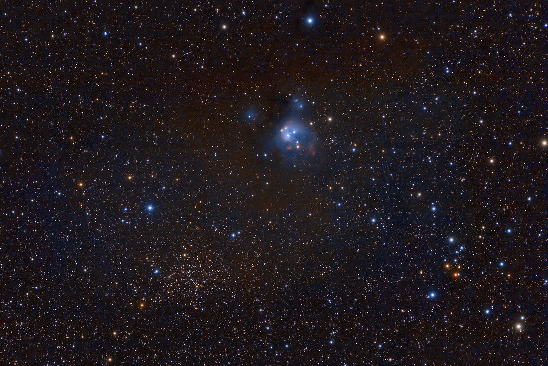 Open Cluster NGC 7129 and Nebula NGC 7142