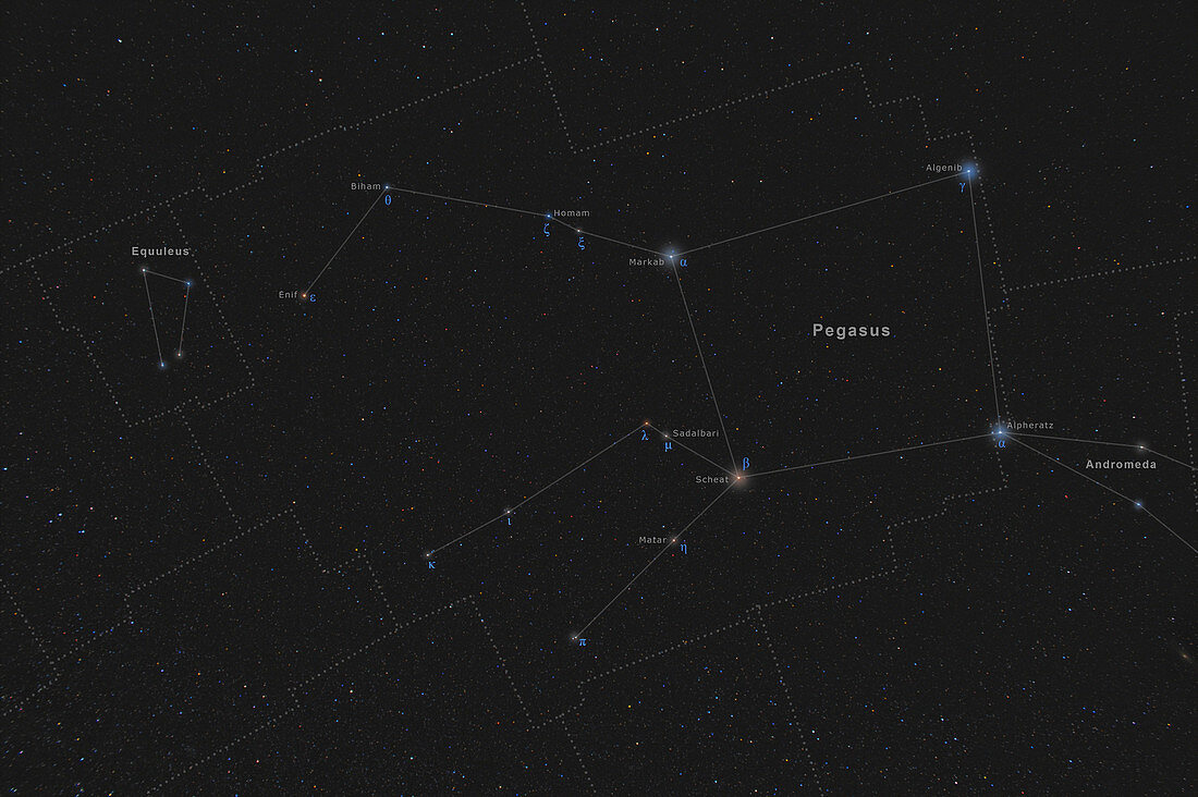 Pegasus, Constellation, Labeled