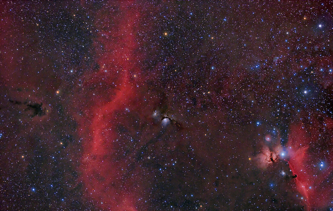 Barnard's Loop, M78, and Horsehead Nebula