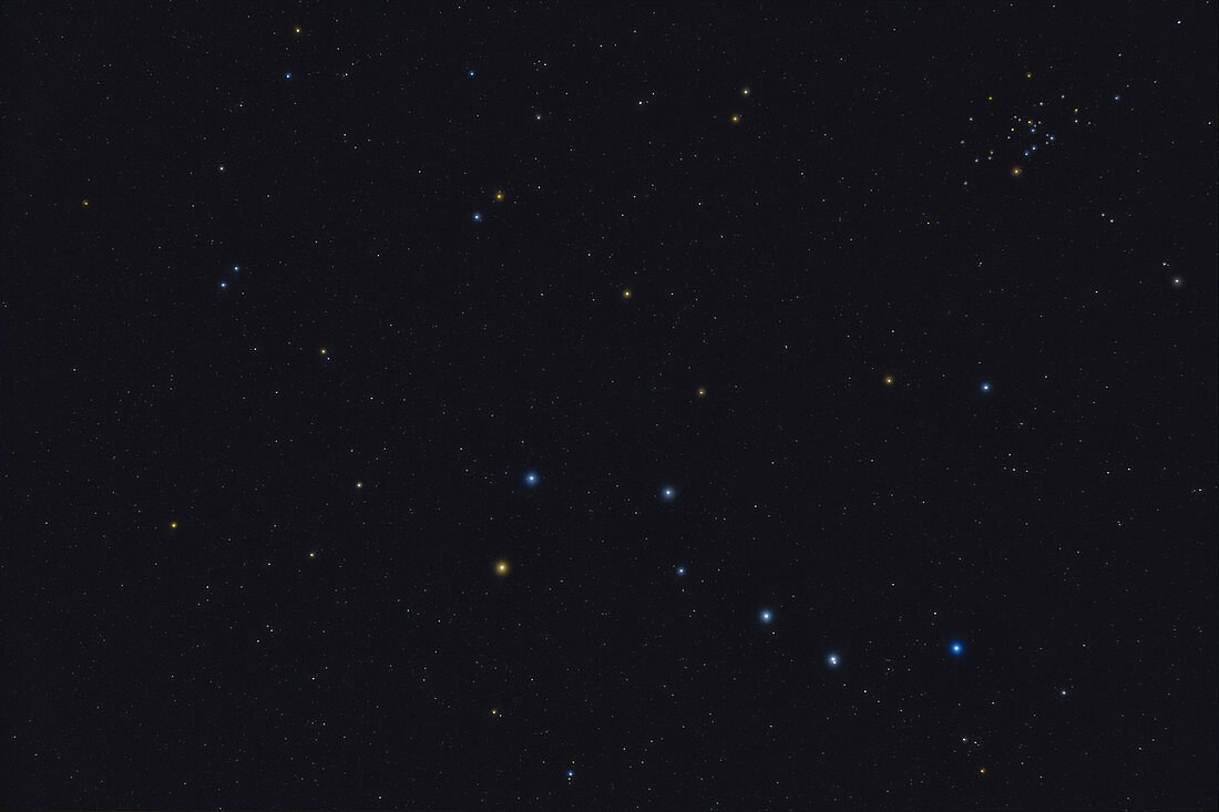 Ursa Major, Constellation
