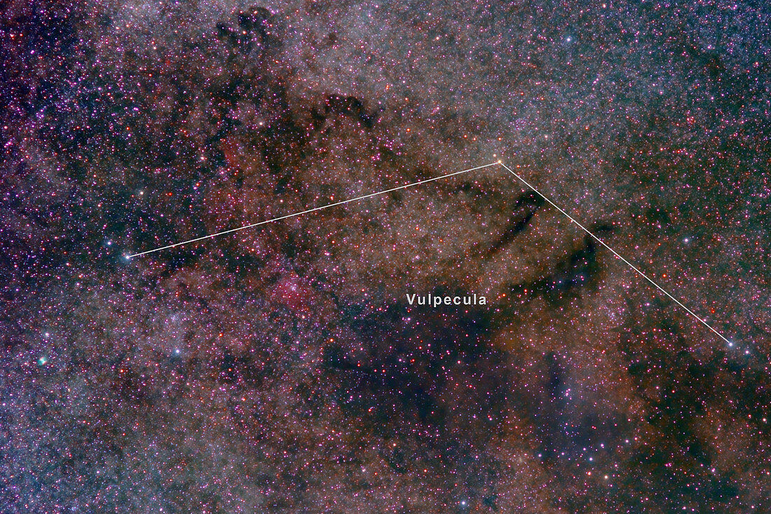 Vulpecula, Constellation, Labeled
