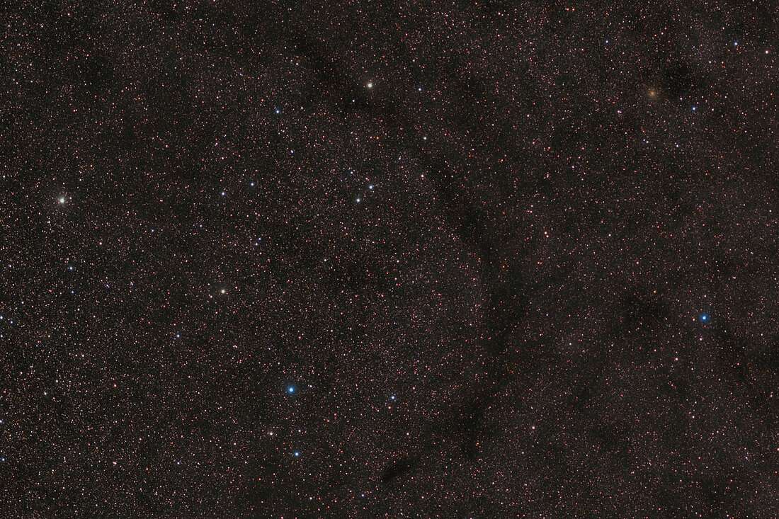 Barnard 138, Black Lizard