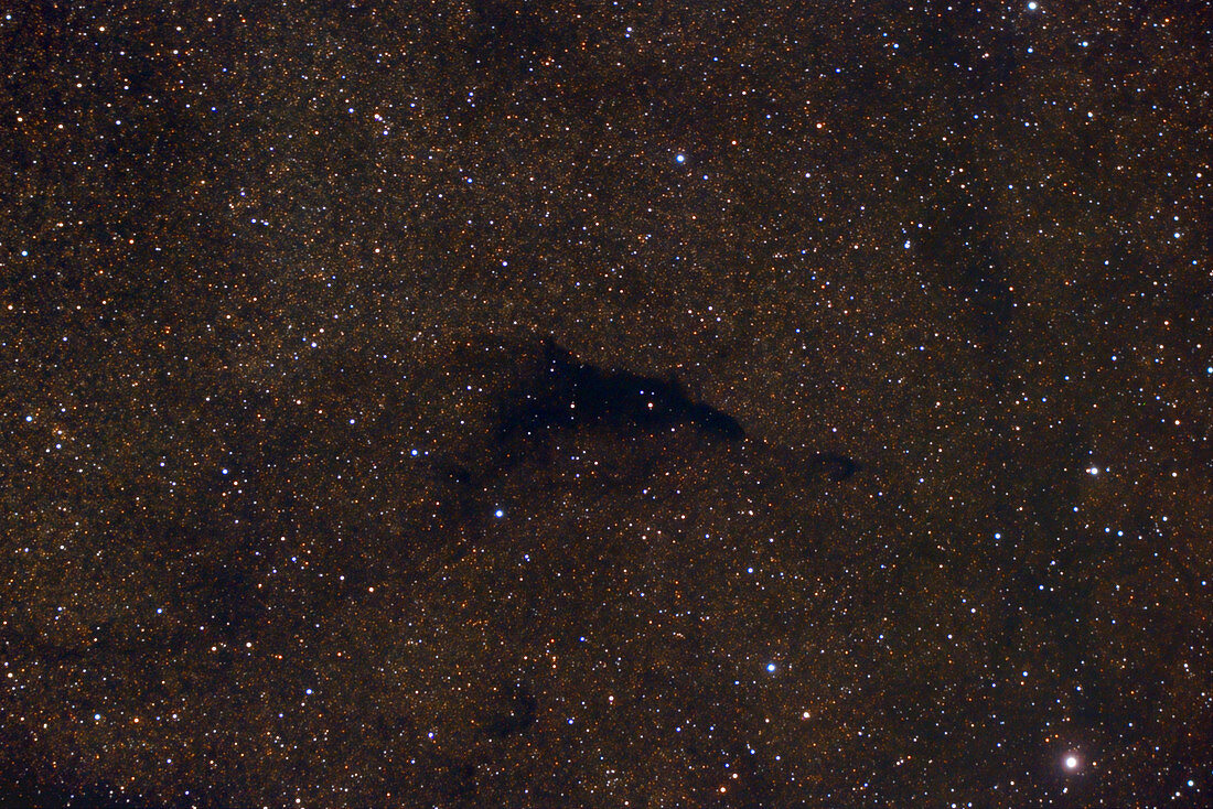 Barnard 252, Dolphin Nebula