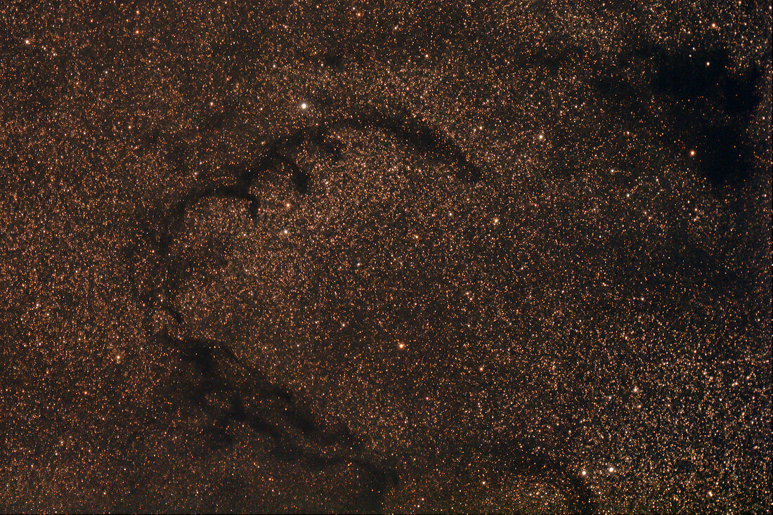 Barnard 75, Dark Nebula