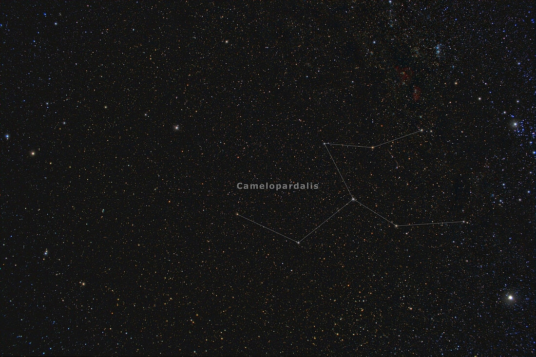 Camelopardalis, Constellation, Labeled