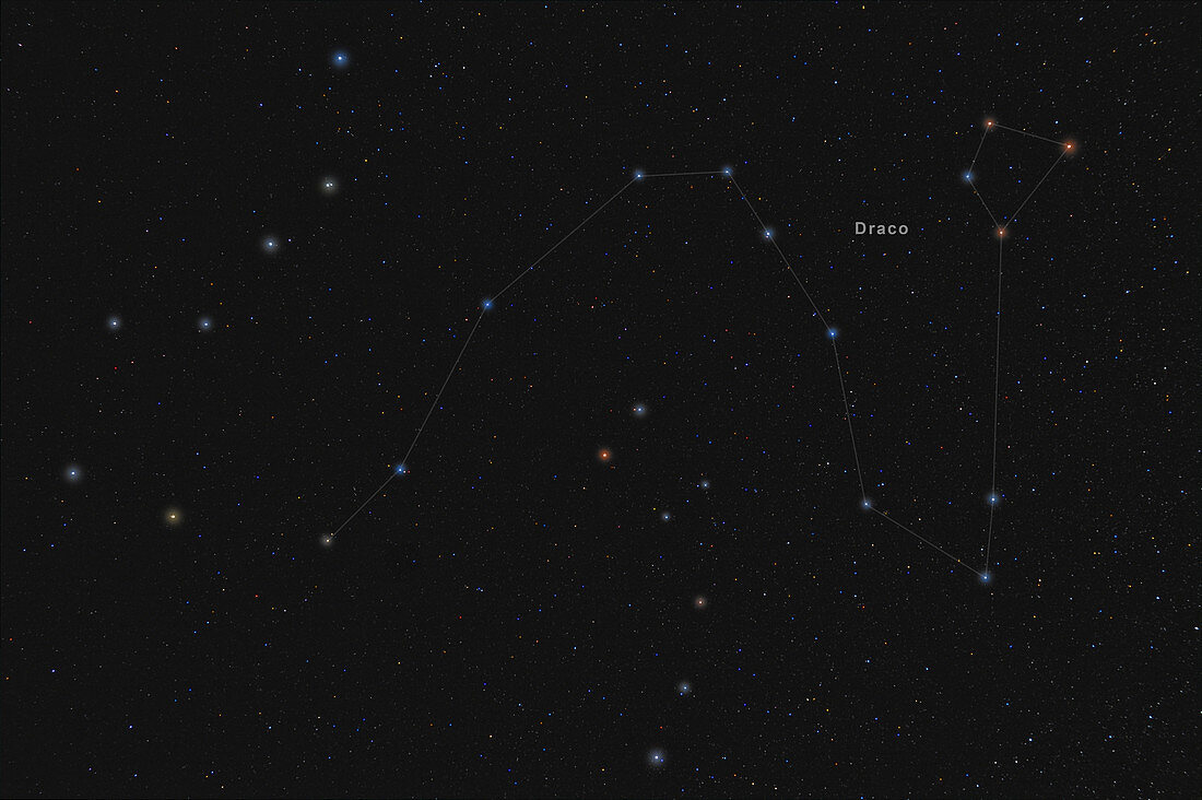 Draco, Constellation, Labeled