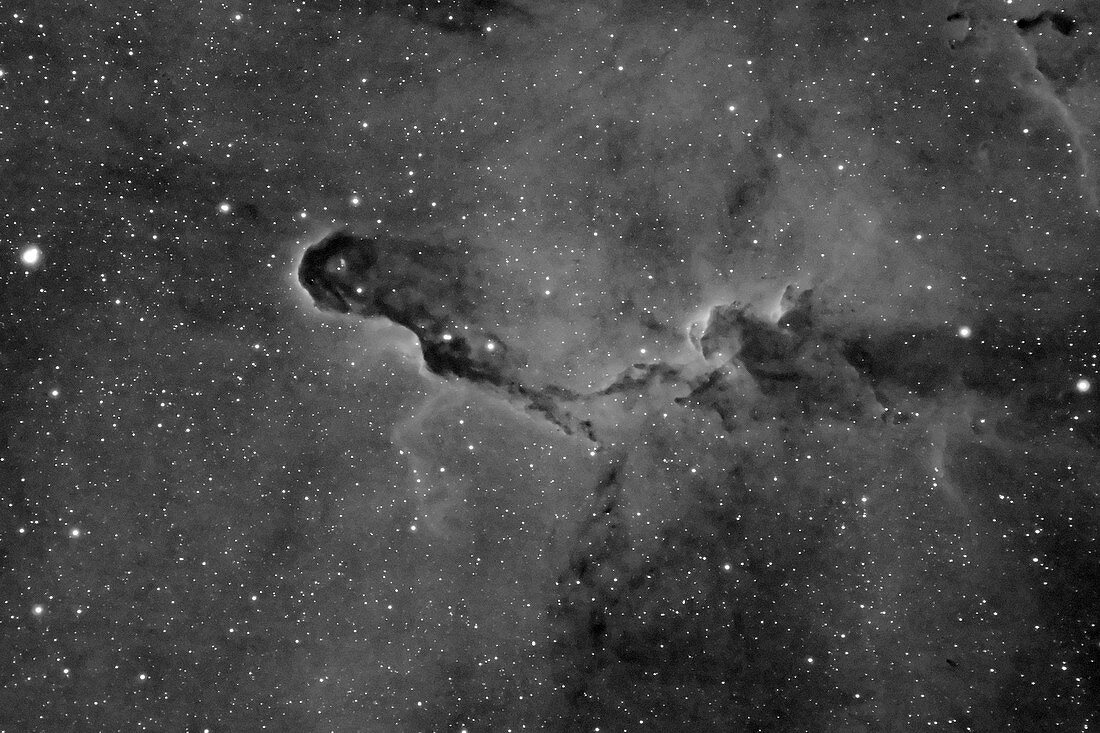 VdB 142 in IC 1396 in Cepheus