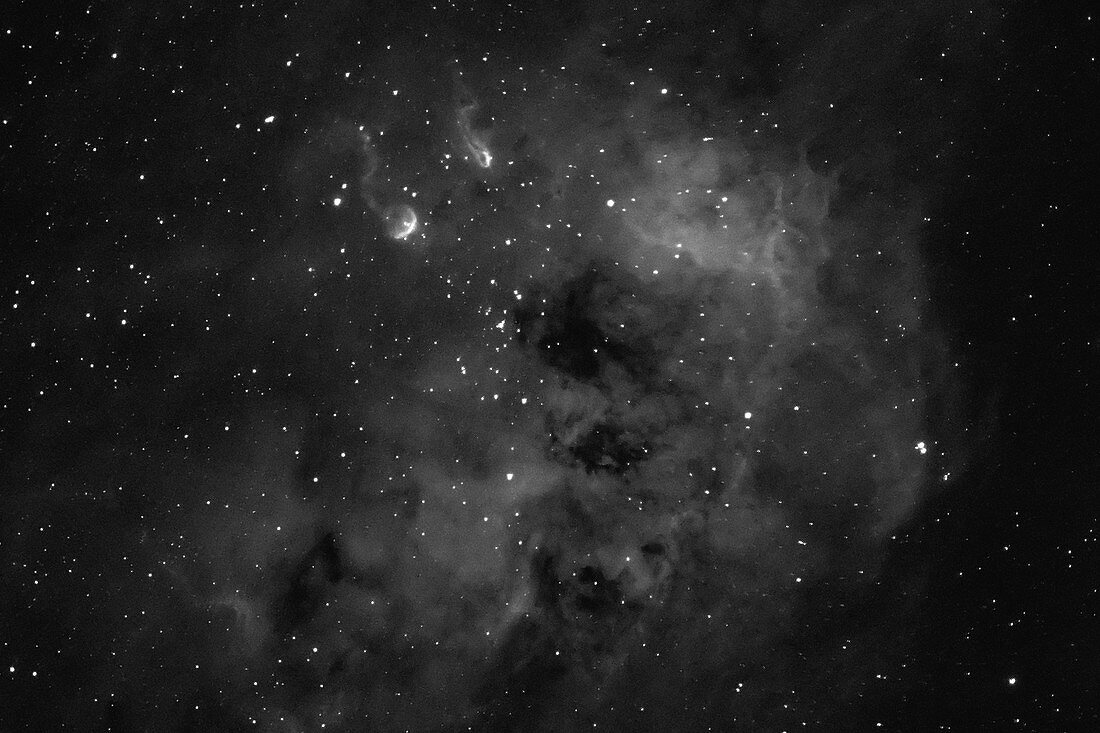 IC 410 and the Tadpoles