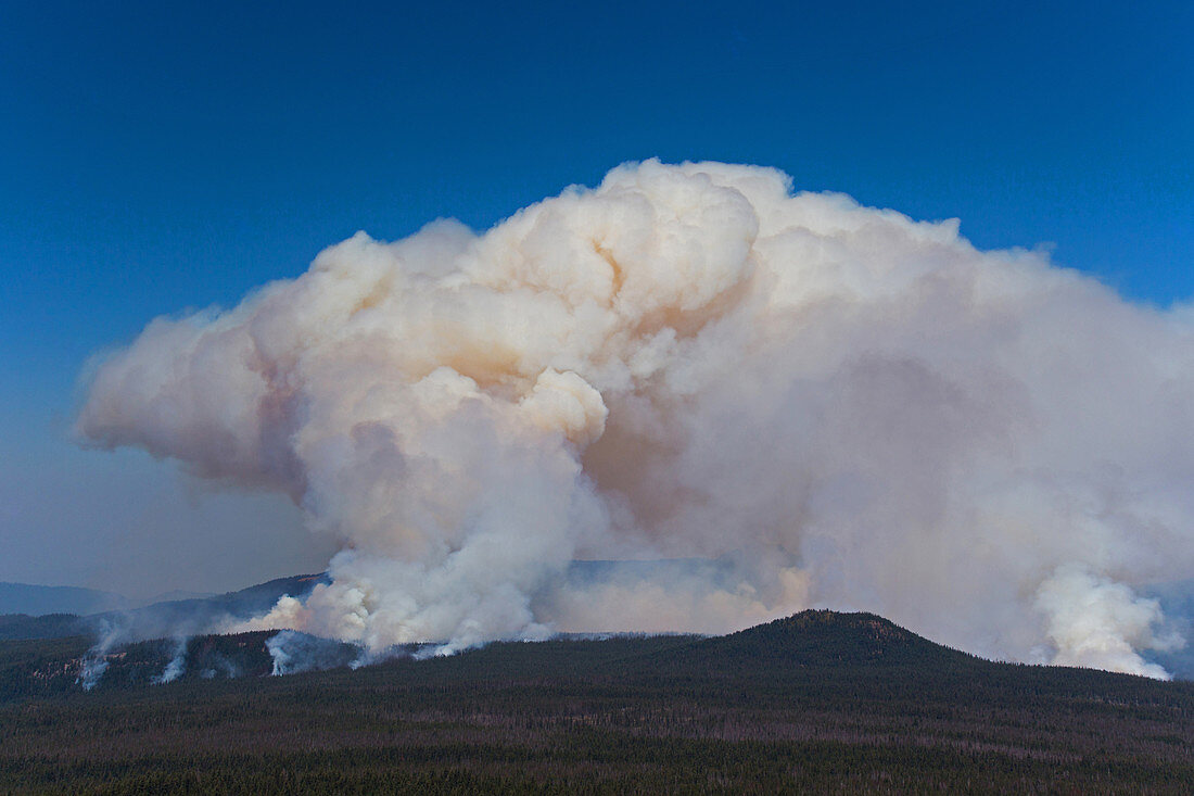 Forest Fire near Crater Lake, OR
