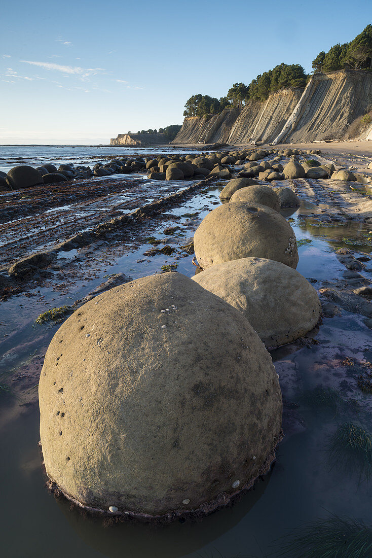 Bowling Ball Beach