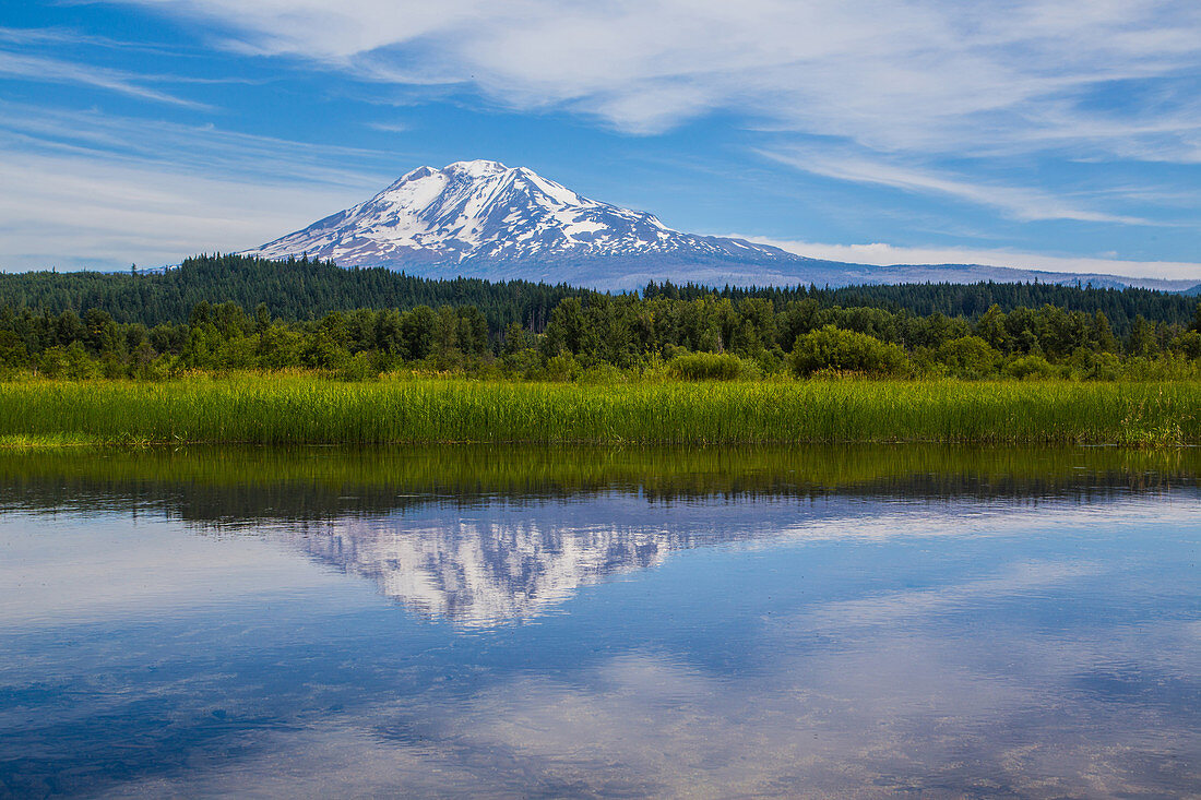 Mt. Adams from Trout Lake Area, USA