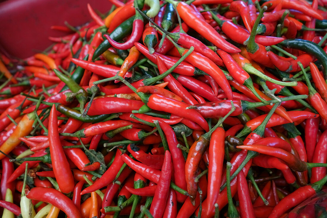 Large Red Chilli Peppers