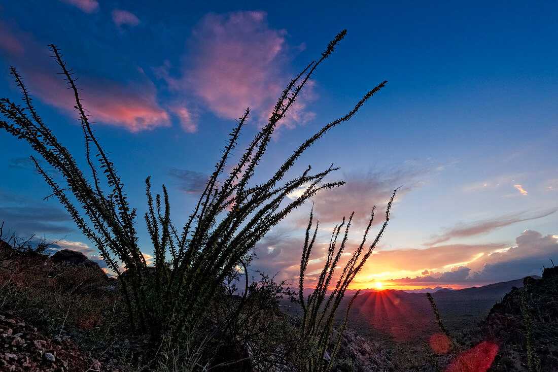 Sundown at Gates Pass, Arizona