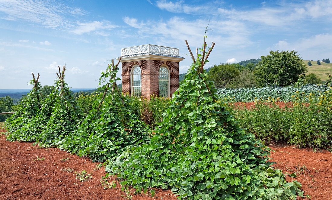 Vegetable Gardens at Monticello