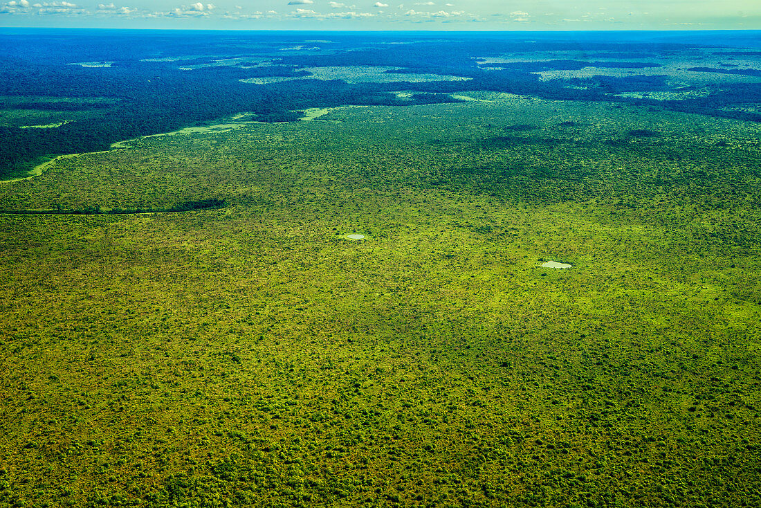 Expansive Grassland And Rainforest, Congo