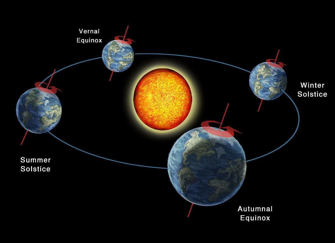 Earth's Orbit with Seasons, Illustration