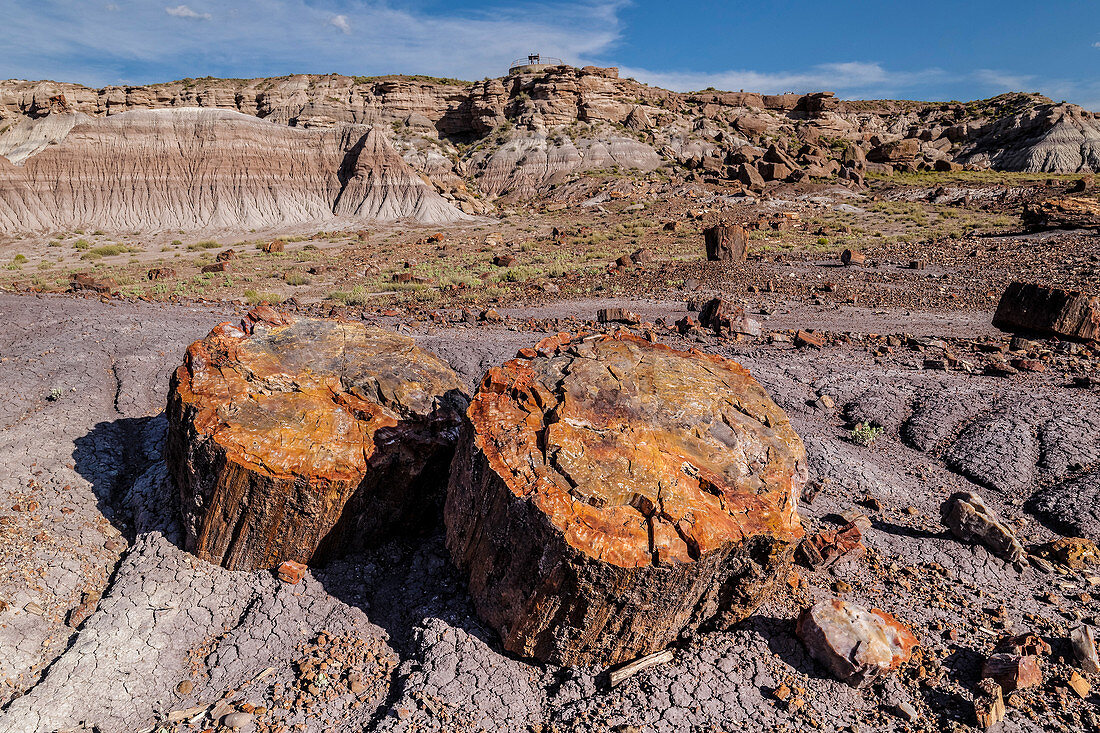 Petrified Forest National Park, USA