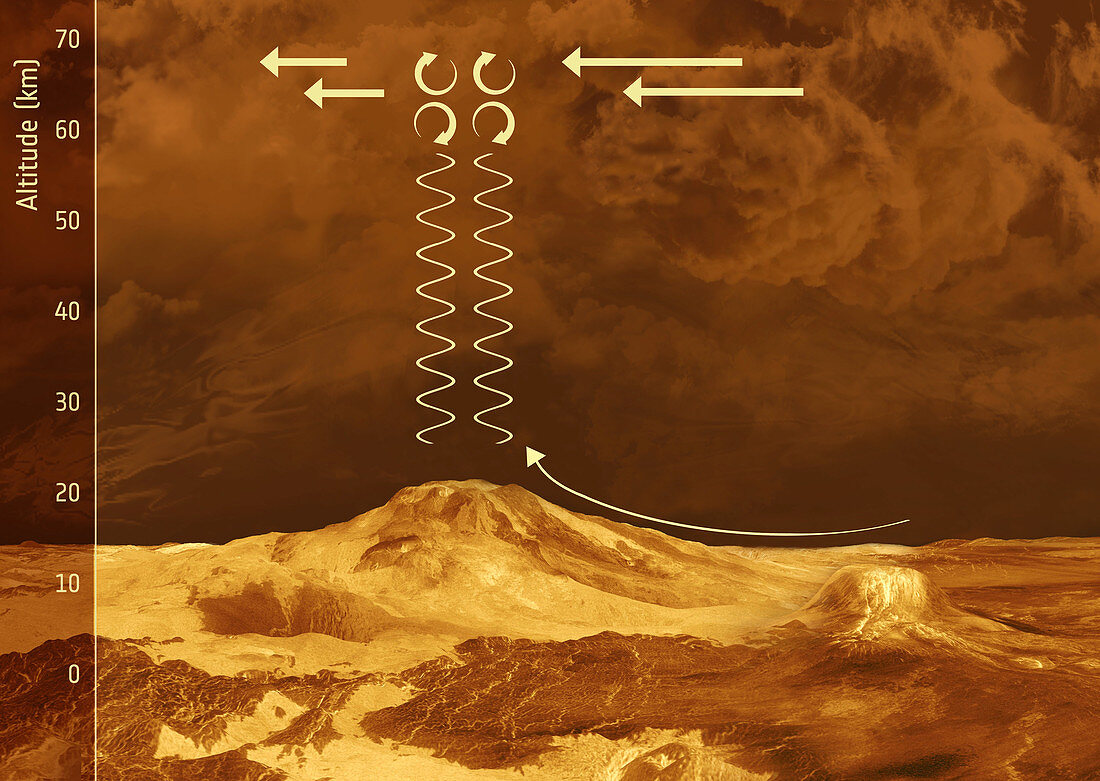 Gravity Waves on Venus