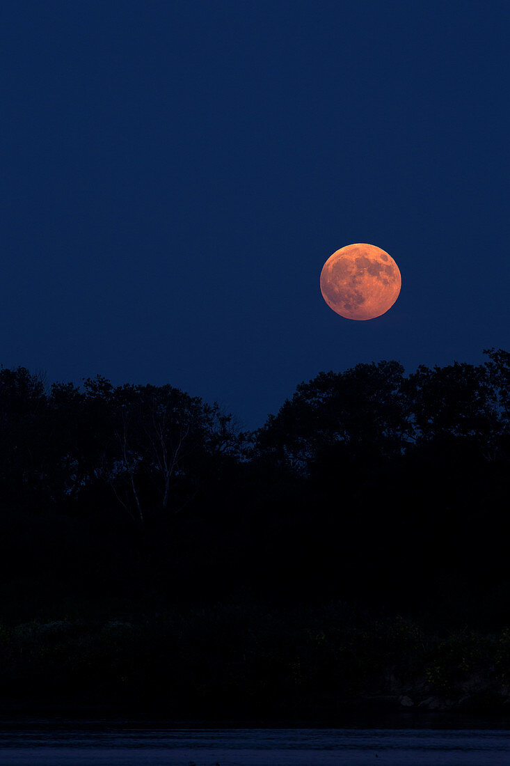 Harvest Moon in Kansas