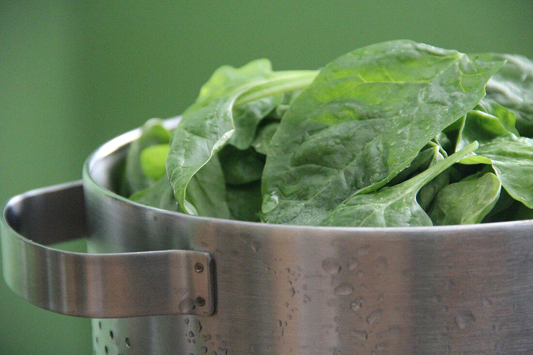 Healthy Food, Vegetable, Spinach Leaves