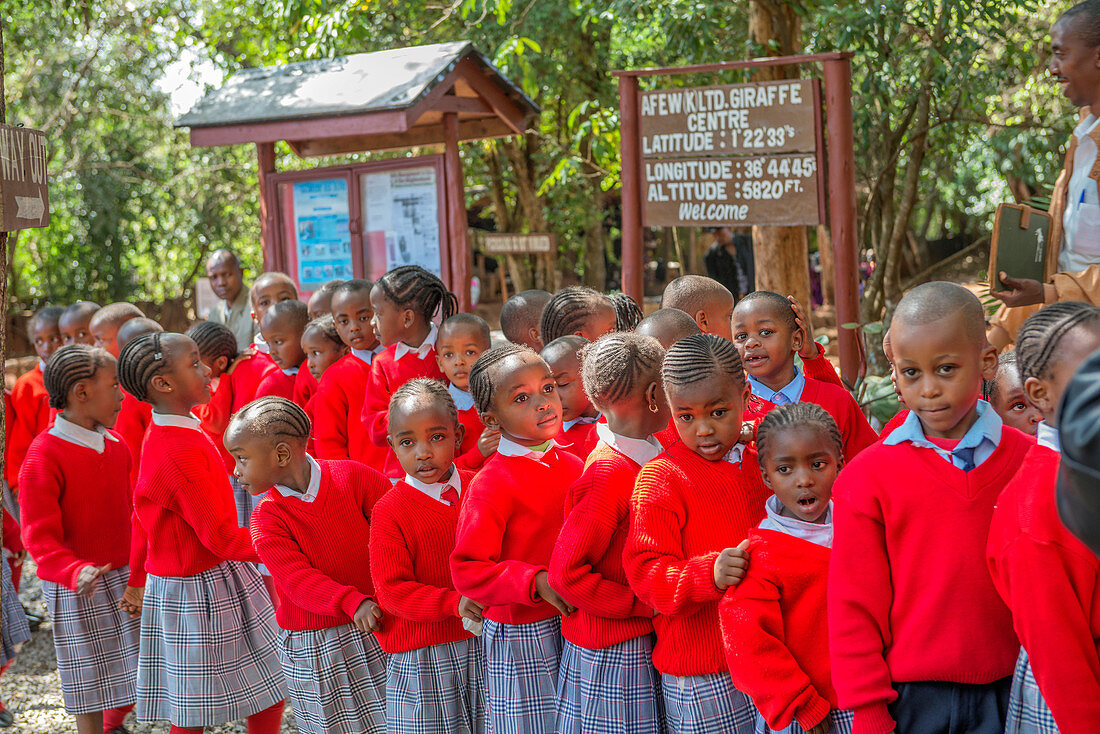 Schoolchildren at the Nairobi Giraffe Centre