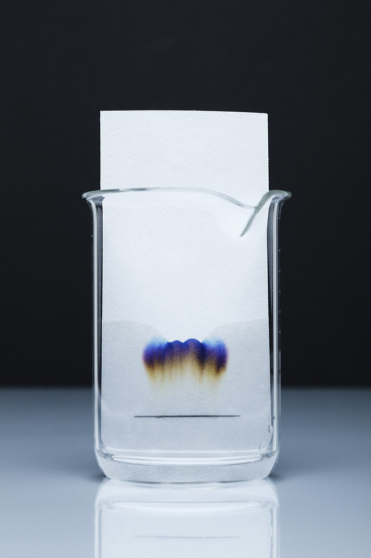 Paper chromatography, 2 of 3