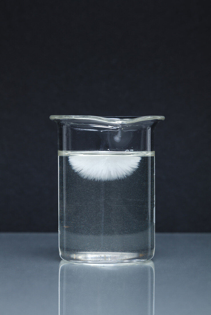 Crystallization of sodium acetate, 2 of 4
