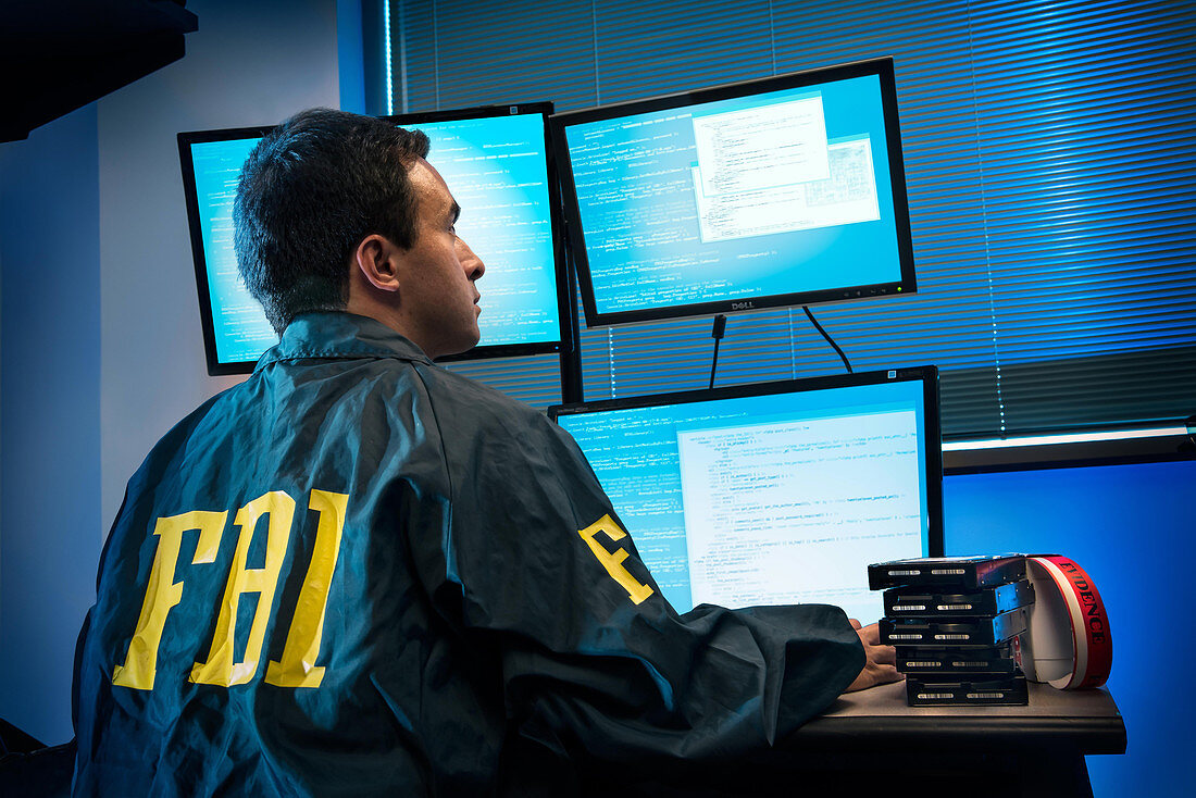 FBI Cyber Agent, 2013