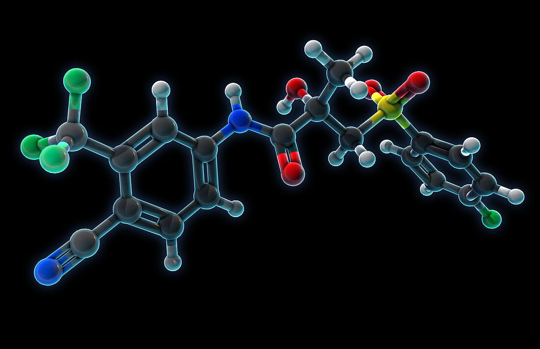 Bicalutamide, Molecular Model