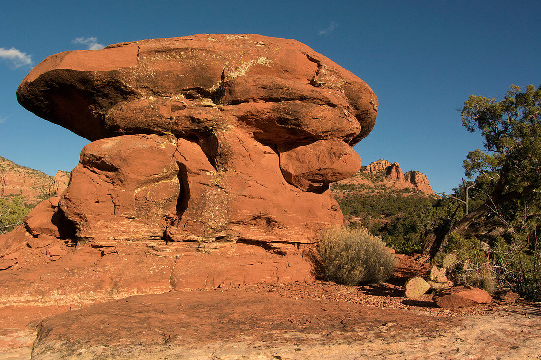 Red rocks, Sedona, Arizona, USA