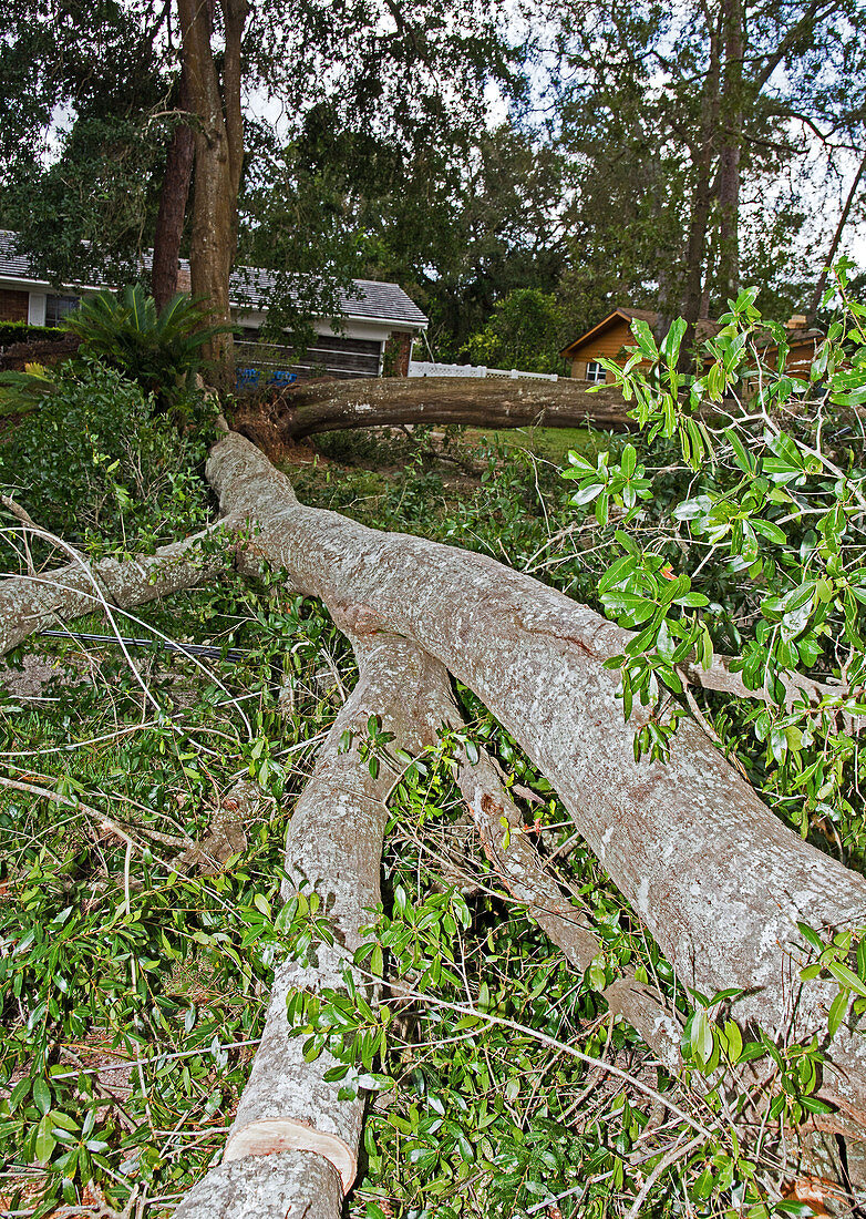 Hurricane Irma residential storm damage