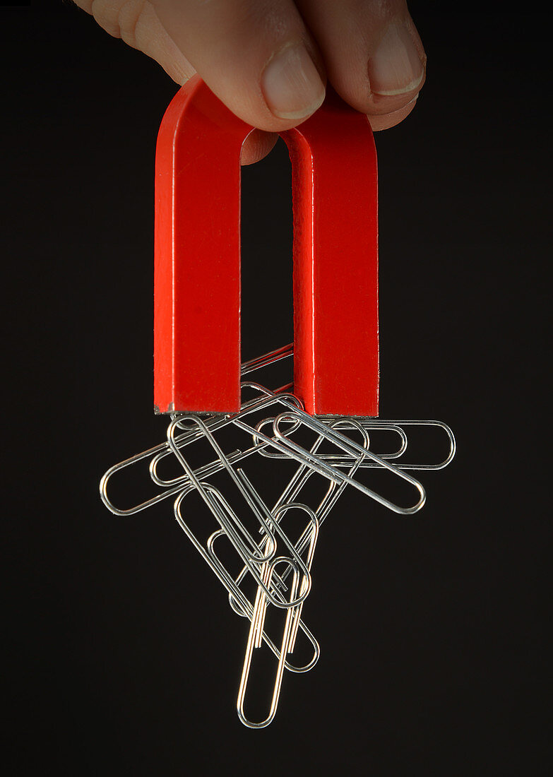 Magnet with Paper Clips