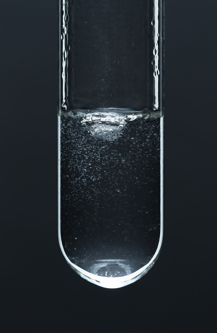 Sodium Reacts with Methanol