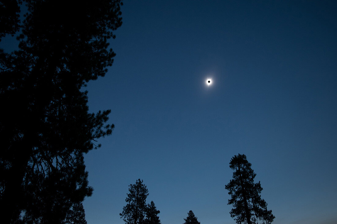 Total Solar Eclipse Corona, Wide Angle