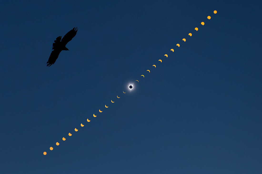 Total Solar Eclipse, 21 August 2017, Multiple Exposure