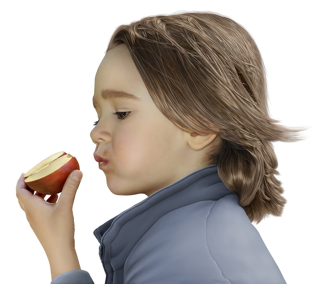 Child eating apple, illustration