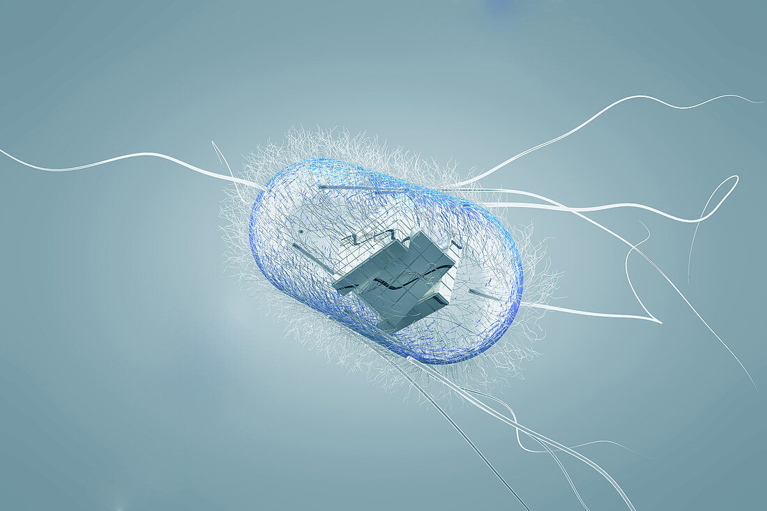 Engineered Bacterial, Conceptual Illustration