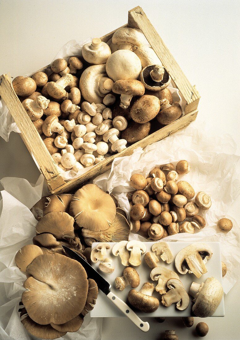 Various Mushrooms in Box and on Cutting Board